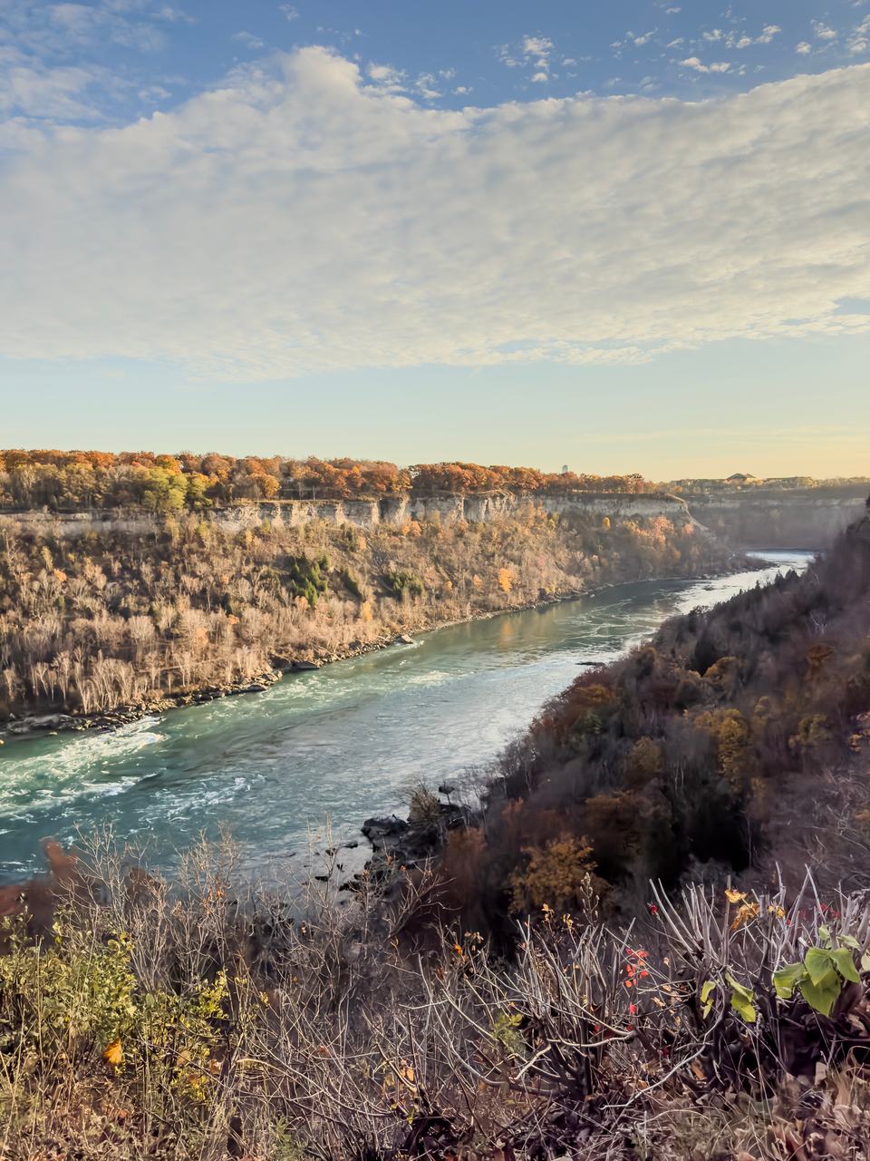 The Niagara River rushing through its gorge between autumn-coloured cliffs, seen from the rim